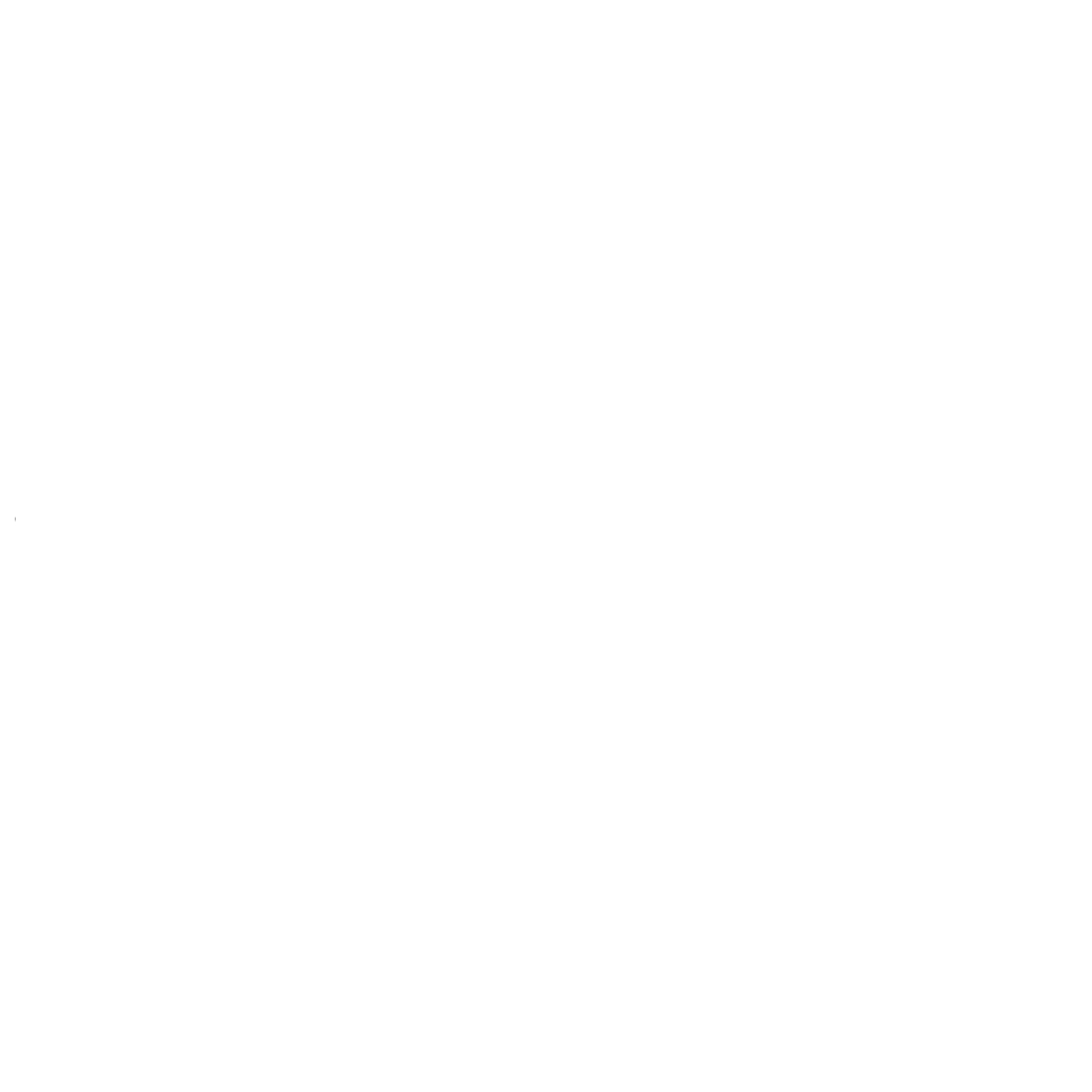 publication on wedding chicks - pierre froger films